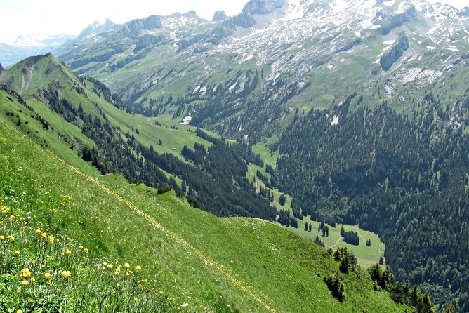 Peak to Peak Private Hiking Tour from Lucerne - The final climb to Fronalpstock