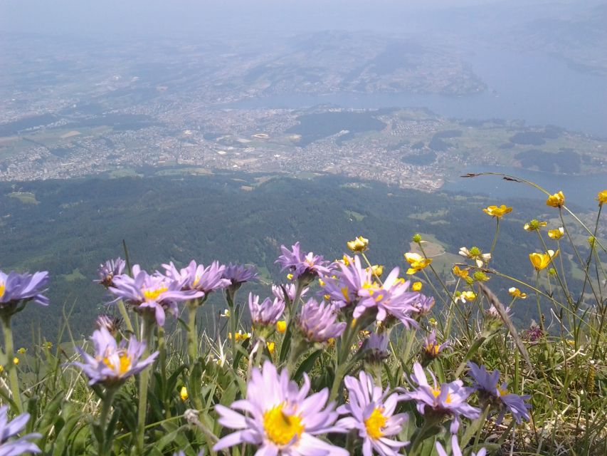 Pilatus: Exclusive Private Golden Round Trip from Lucerne - Is $579 per person a fair price?