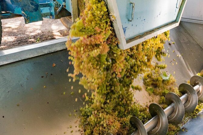 Pinot Noir & Pinot Wine Tour to Baden-Württemberg - Bad Krozingen and a family winery with serious Pinot