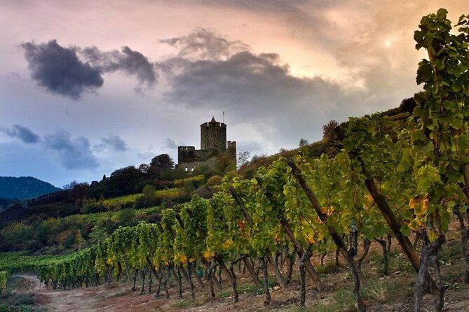 Pinot Noir & Pinot Wine Tour to Baden-Württemberg - Who will get the most from this tour