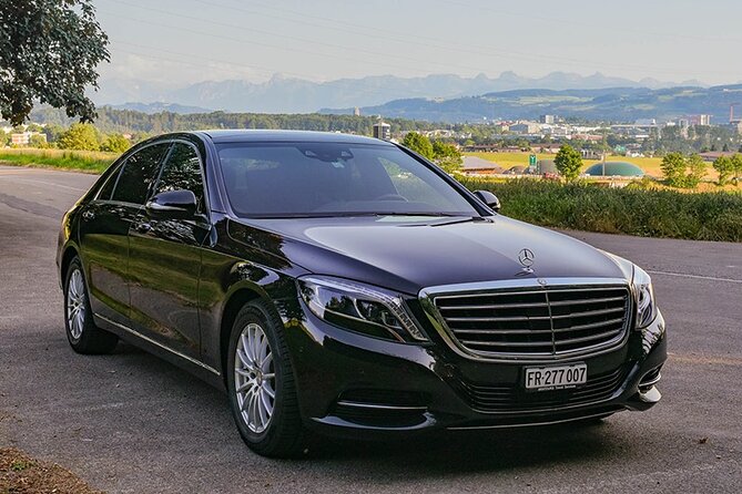 Private Arrival Transfer: from Zurich Airport to Zurich City - Drivers who make the difference