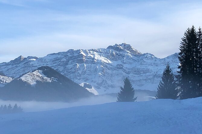 Private Guided Swiss Alps Day Trip from Zurich with Hotel Pick-Up - Is $369.13 per person good value?
