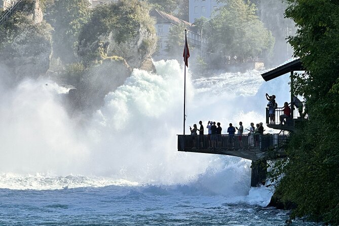 Private Half-Day Tour to the Rhine Falls with Pick-up at Hotel - What the private guide adds