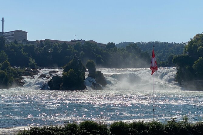 Private Half-Day Tour to the Rhine Falls with Pick-up at Hotel - Vehicle comfort and family planning