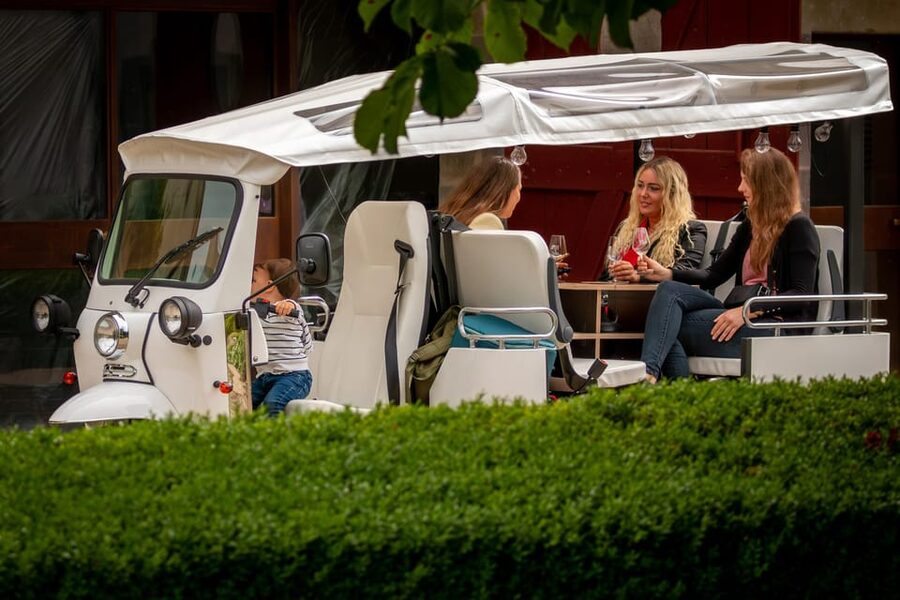 Private Highlights Top Places Tour Electric TukTuk 1h15 - Why a tuk-tuk works well in Geneva