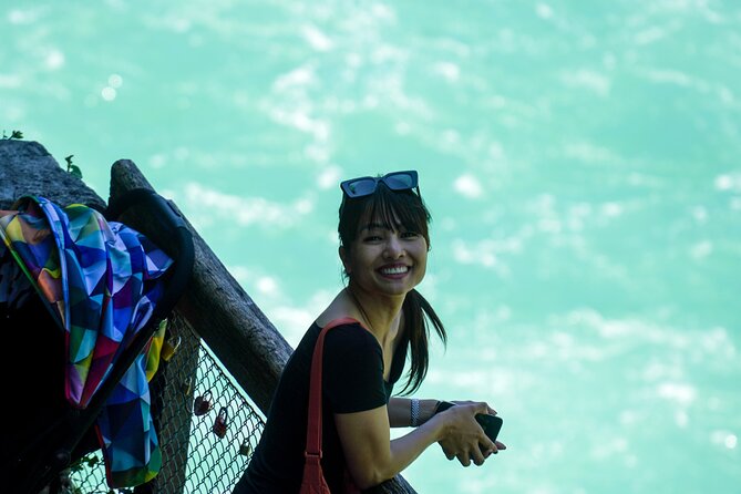 Private Rhine Falls Half Day Tour with a Local from Zurich - What the private format changes