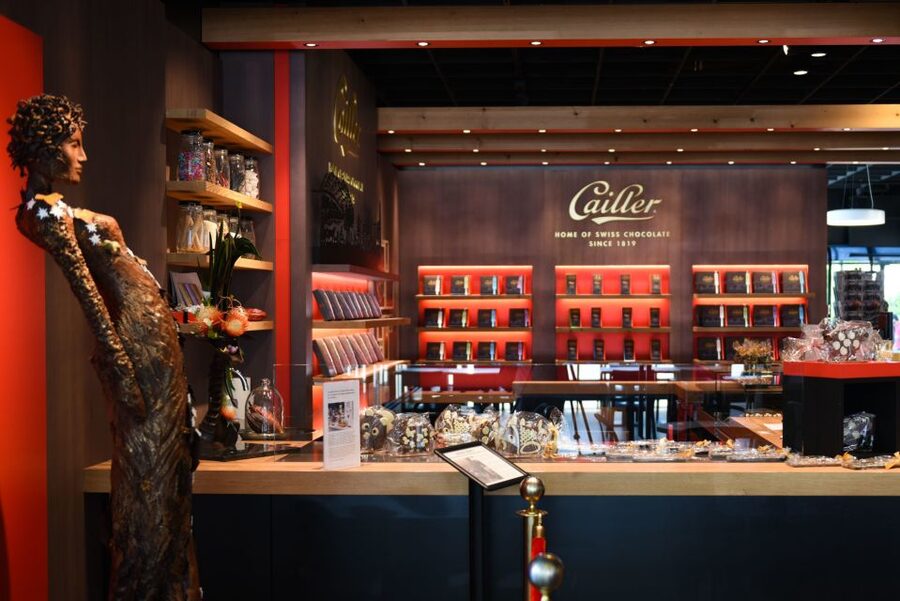 Private Swiss Cheese & Chocolate Tasting Trip in Gruyeres - What the private format changes