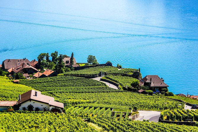 Private Tour to Gruyères, Chocolate & Cheese Factory from Geneva - La Maison du Gruyère and the cheese behind the name