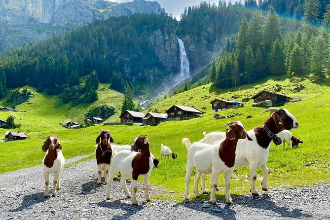 Private tour to the most breathtaking insider spots in Switzerland (1 day) - Why this private Switzerland day tour feels different