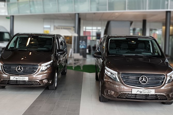 Private Transfer from Grindelwald to Zurich Airport - Who should book this transfer?