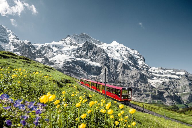 Private trip from Zurich to Jungfraujoch (The Top of Europe) - What the driver-guide service really means