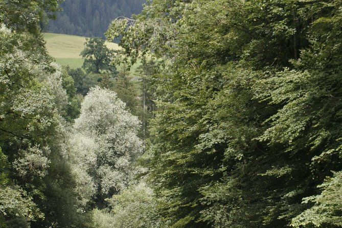 River Rafting Simme with OUTDOOR - Meeting in Interlaken and heading toward the river