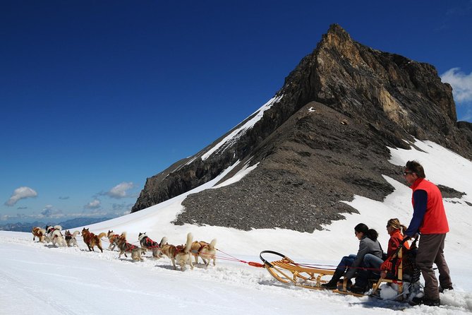 Riviera Col du Pillon & Glacier 3000 from Montreux - Guides can make the bus ride worthwhile