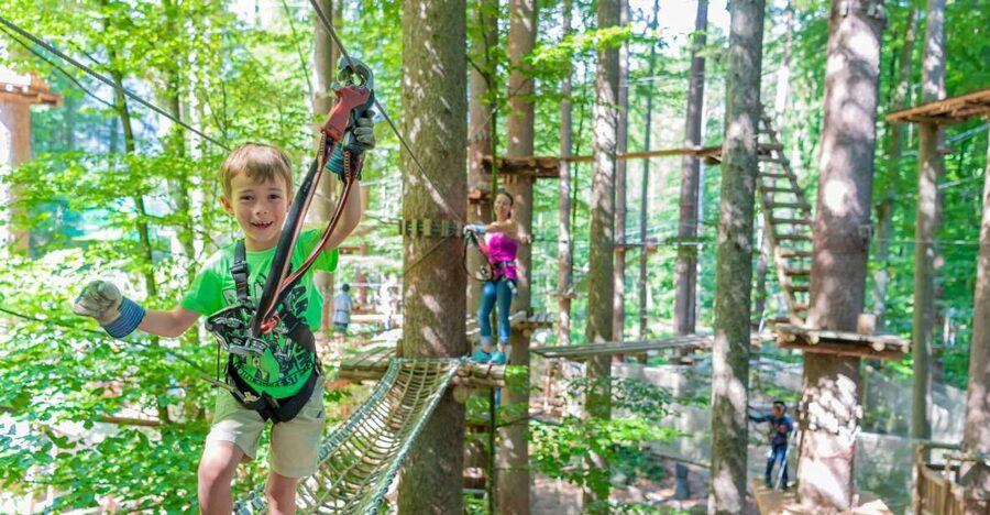 Rope Park Interlaken: Climbing Adventure with Entry Ticket - Key points to know before you climb