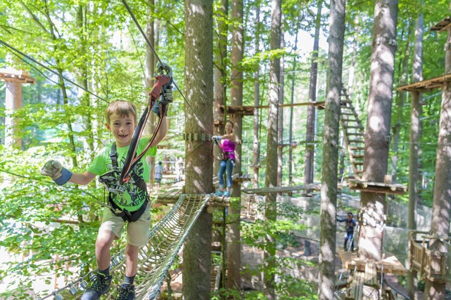 Rope Park Interlaken: Climbing Adventure with Entry Ticket - What Rope Park Interlaken is really like
