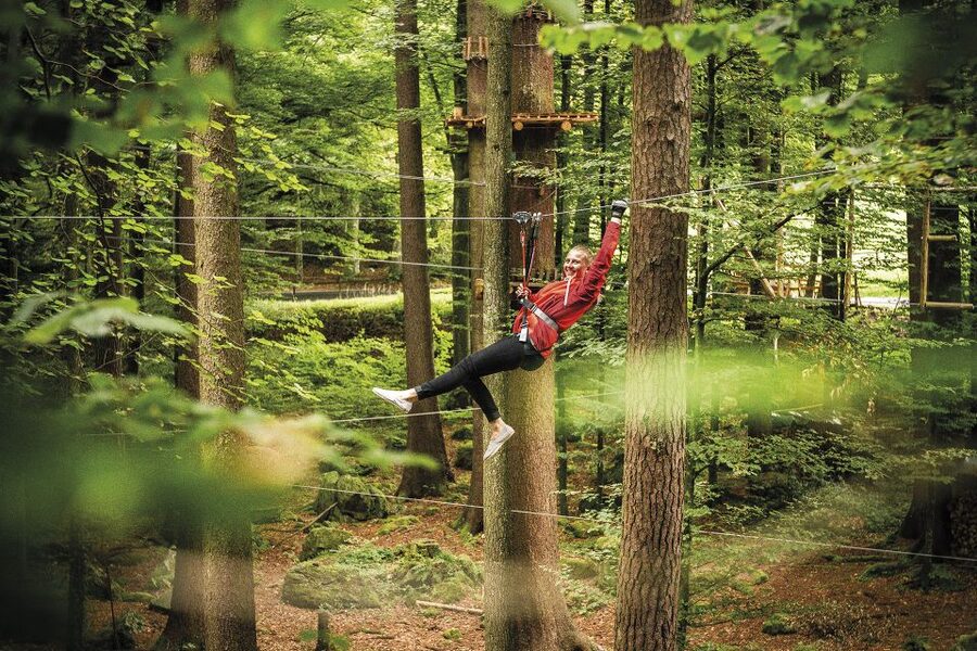 Rope Park Interlaken: Climbing Adventure with Entry Ticket - The nine routes and 160 challenges