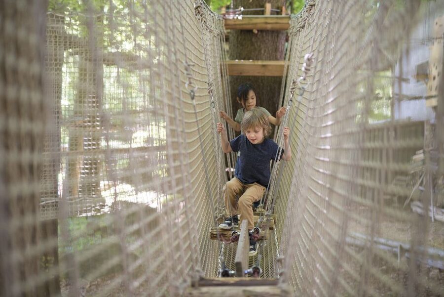 Rope Park Interlaken: Climbing Adventure with Entry Ticket - Tarzan swings, bridges, and zip lines