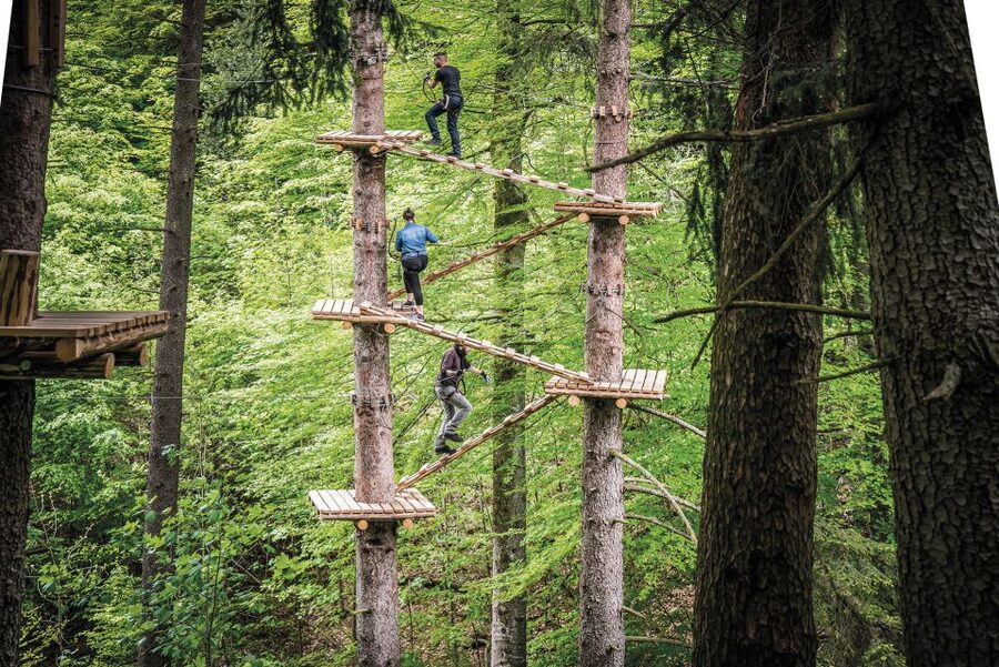 Rope Park Interlaken: Climbing Adventure with Entry Ticket - Who will get the best value from the $58 ticket
