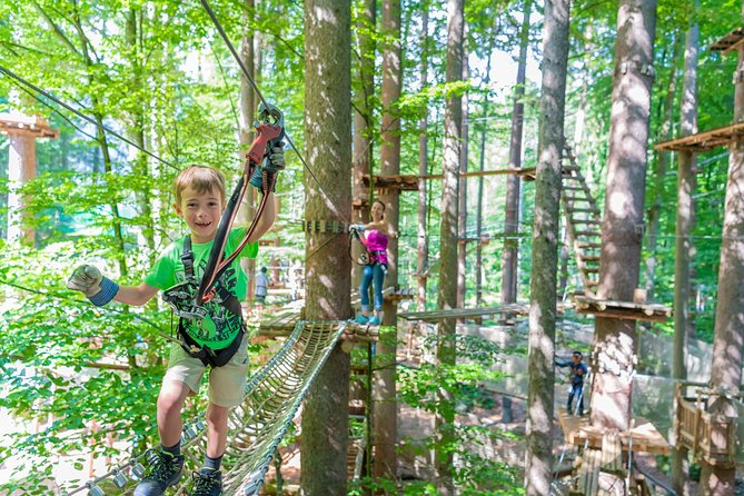 Ropes Park Interlaken - From ground-level tests to 23-meter platforms