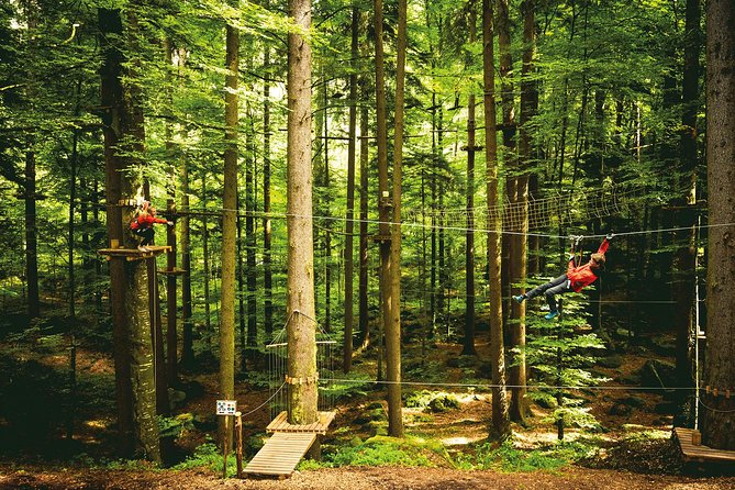 Ropes Park Interlaken - Is the price fair at $59.28?