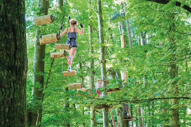 Ropes Park Interlaken - What the 2.5-hour visit feels like