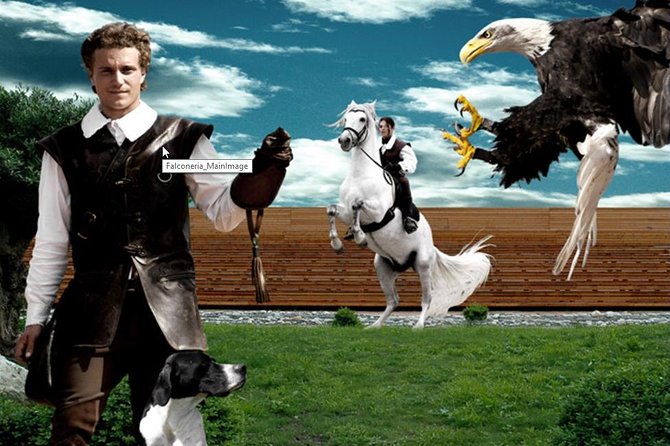 Skip the Line: Falconeria Locarno Ticket - Birds of prey in flight at Falconeria Locarno