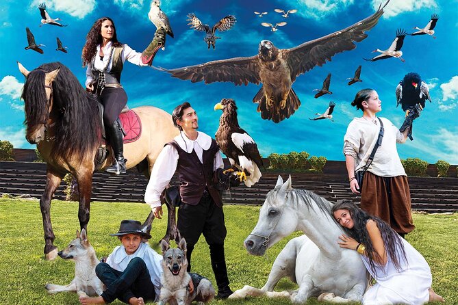 Skip the Line: Falconeria Locarno Ticket - A calm park after the spectacle