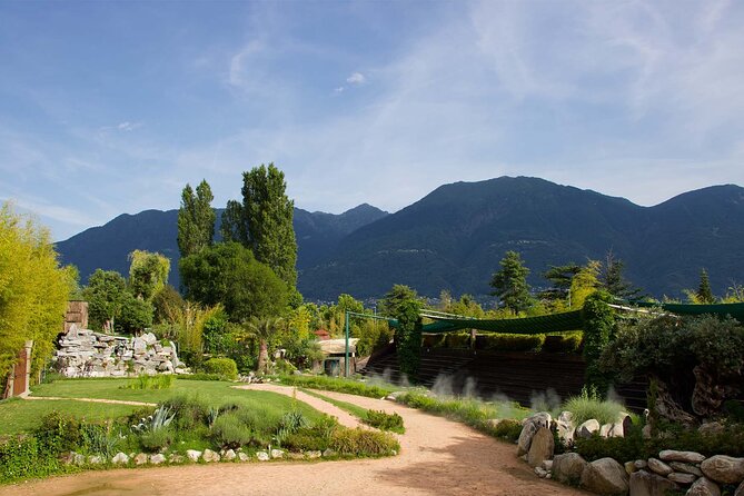 Skip the Line: Falconeria Locarno Ticket - Who will enjoy this Locarno attraction most