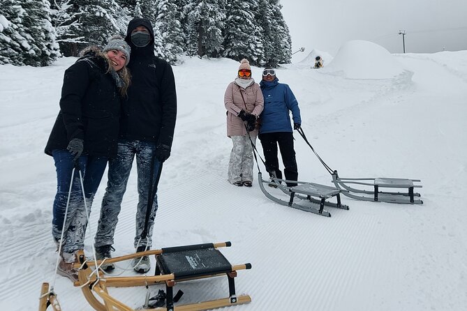 Sledding Cheese Fondue, Chocolate - The 1.5-hour run toward Holenstein