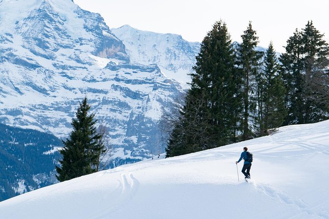 Snowshoe Adventure in the Swiss Alps - Key points to know before you book