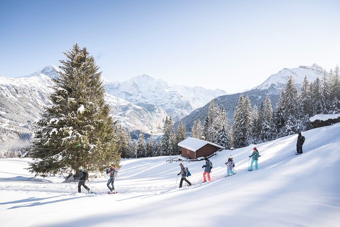 Snowshoe Adventure in the Swiss Alps - A quiet winter alternative to skiing