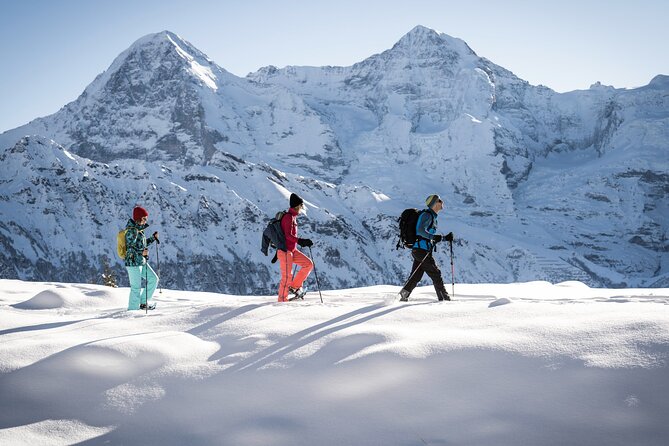 Snowshoe Adventure in the Swiss Alps - Is $130.45 a fair price?