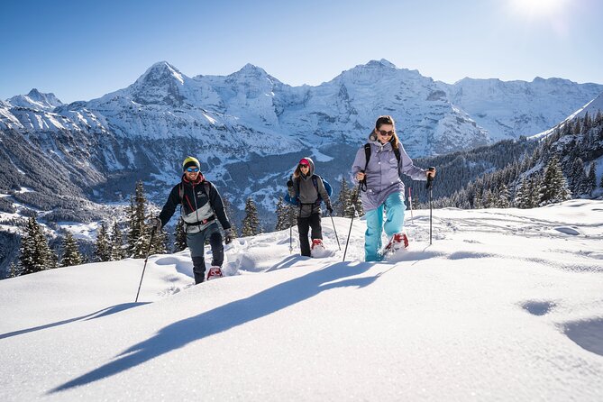 Snowshoe Adventure in the Swiss Alps - From Interlaken to the Outdoor base in Wilderswil
