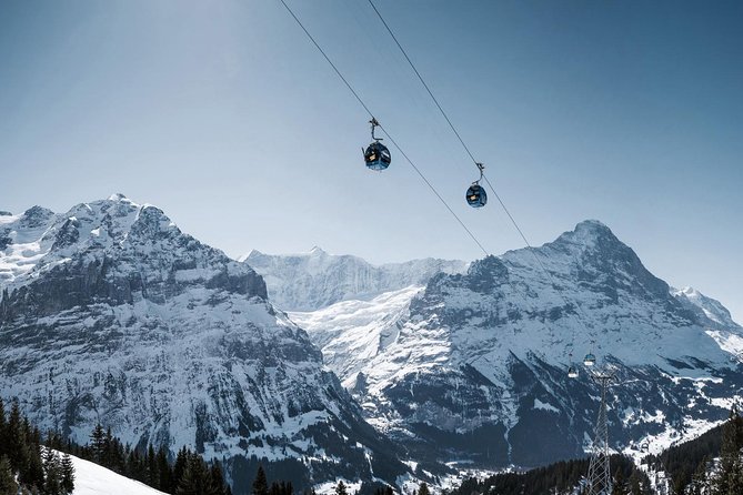 Swiss Alps: Interlaken and Grindelwald Day Trip from Zurich - The guide question: warm help or little guidance?