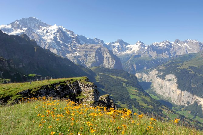 Swiss Alps: Interlaken and Grindelwald Day Trip from Zurich - The extra-package issue