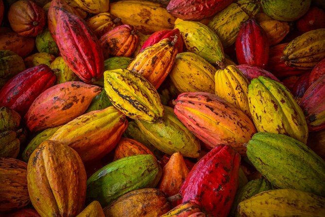 Swiss Chocolate Tasting Experience | Basel - A small room and a small group