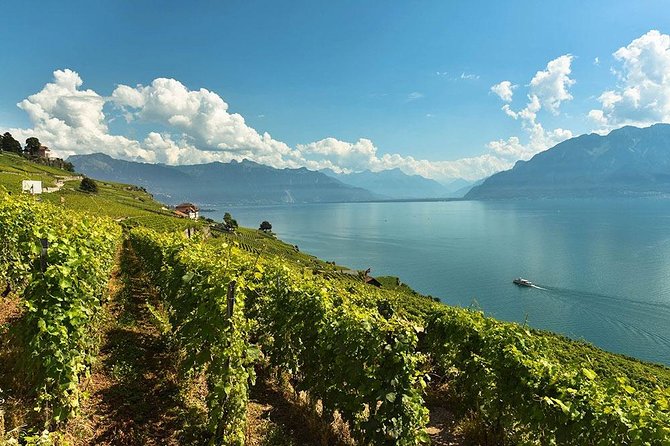 Swiss Wine Tasting at Lavaux Vineyards: Private Trip from Geneva - Entering the Lavaux vineyard terraces