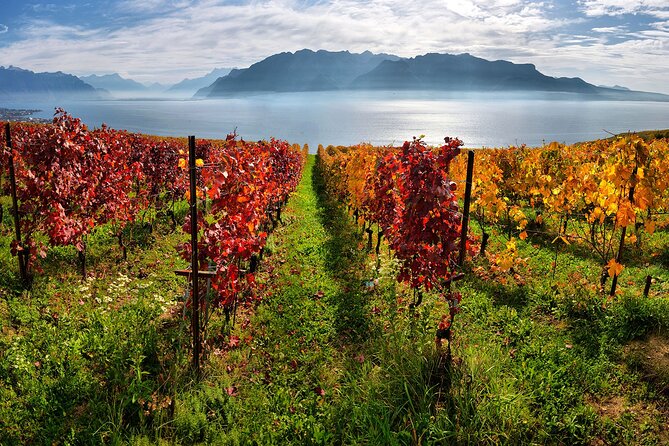 Swiss Wine Tasting at Lavaux Vineyards: Private Trip from Geneva - Tasting Chasselas, Lavaux’s signature white wine