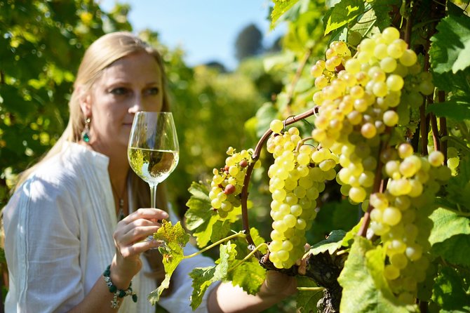 Swiss Wine Tasting at Lavaux Vineyards: Private Trip from Geneva - What the driver-guide adds to the experience