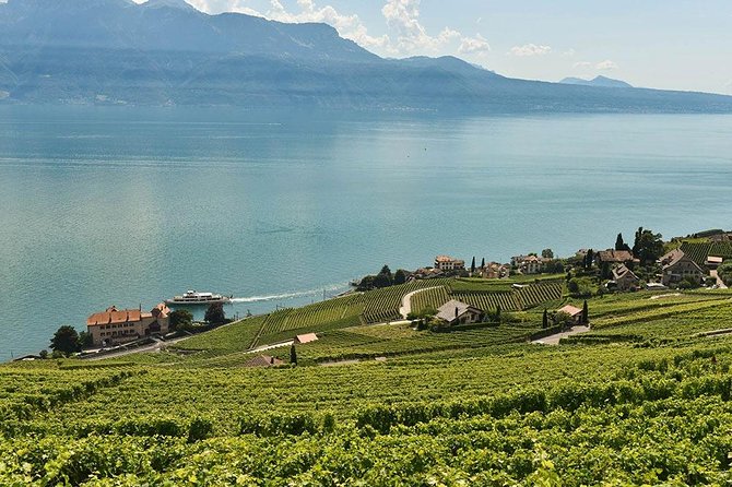 Swiss Wine Tasting at Lavaux Vineyards: Private Trip from Geneva - Starting in Geneva with a private car