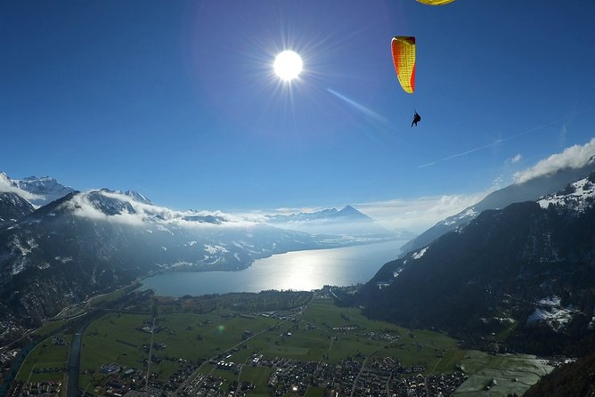 Tandem Paragliding Experience from Interlaken - Landing by Hohematte Park in Interlaken
