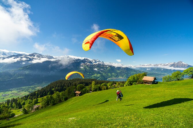 Tandem Paragliding Experience from Interlaken - Who will enjoy this most