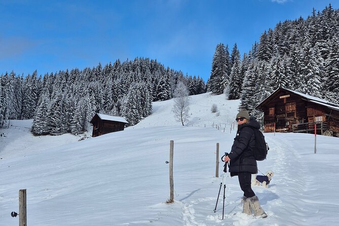 The best Sunset hike with Cheese Fondue - Key points to know before booking