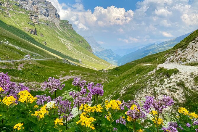 The natural wonders of Switzerland: private tour from Basel (1 day) - Uri’s valleys, rivers, and mountain viewpoints