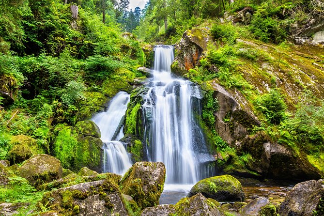 Trip from Zurich to Germany's Black Forest & Swiss Rhine Falls - What the private car changes