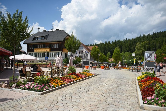 Trip from Zurich to Germany's Black Forest & Swiss Rhine Falls - Timing, communication, and cancellation