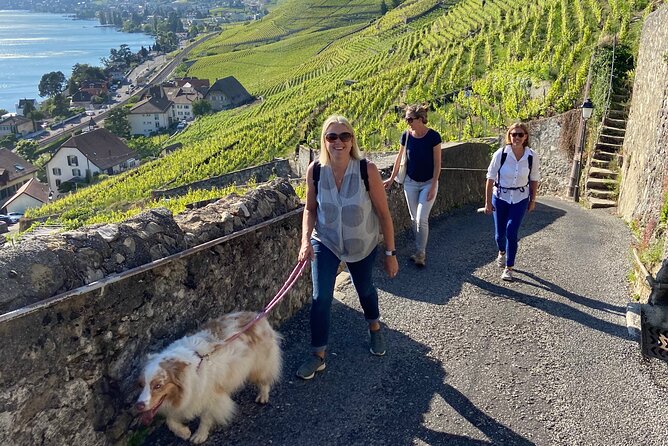 Vine Stories: Lavaux & Lutry wine walk - Key points to know before you book