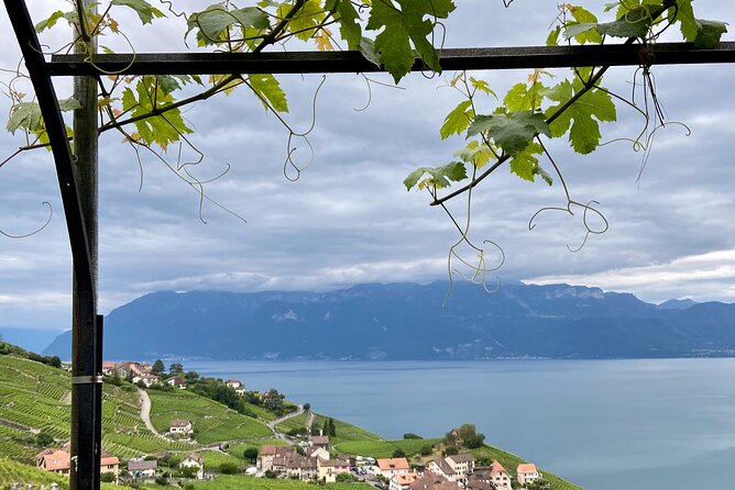 Vine Stories: Lavaux & Lutry wine walk - Why walking Lavaux makes such a difference