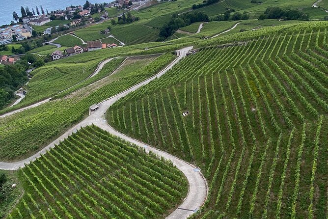 Vine Stories: Lavaux & Lutry wine walk - Local wine, charcuterie, and the final pause