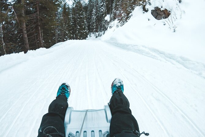 Winter Alpine Adventure - The guide makes or breaks the day